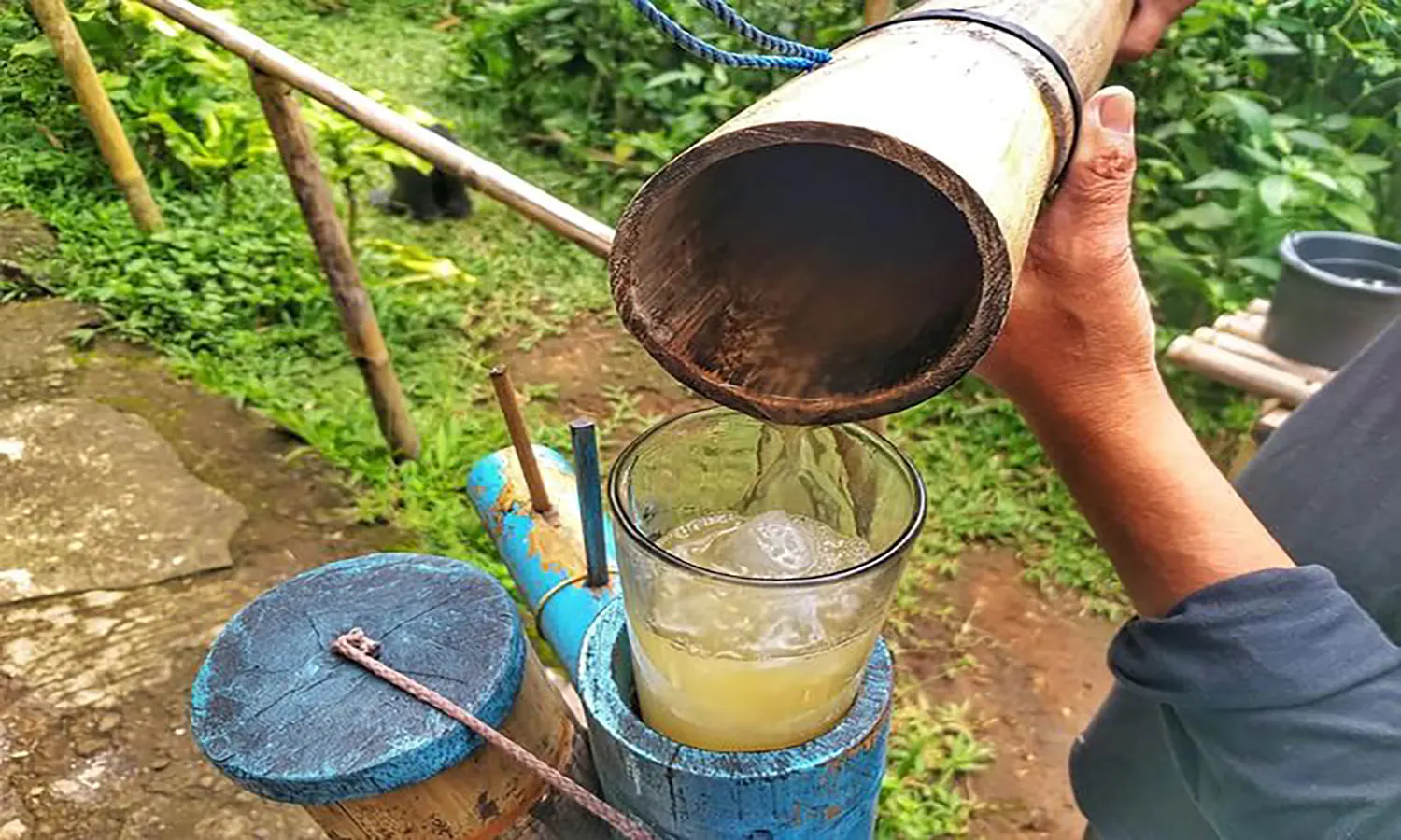 Manfaat Air Nira: Sumber Kesehatan Tak Tertandingi untuk Tubuh