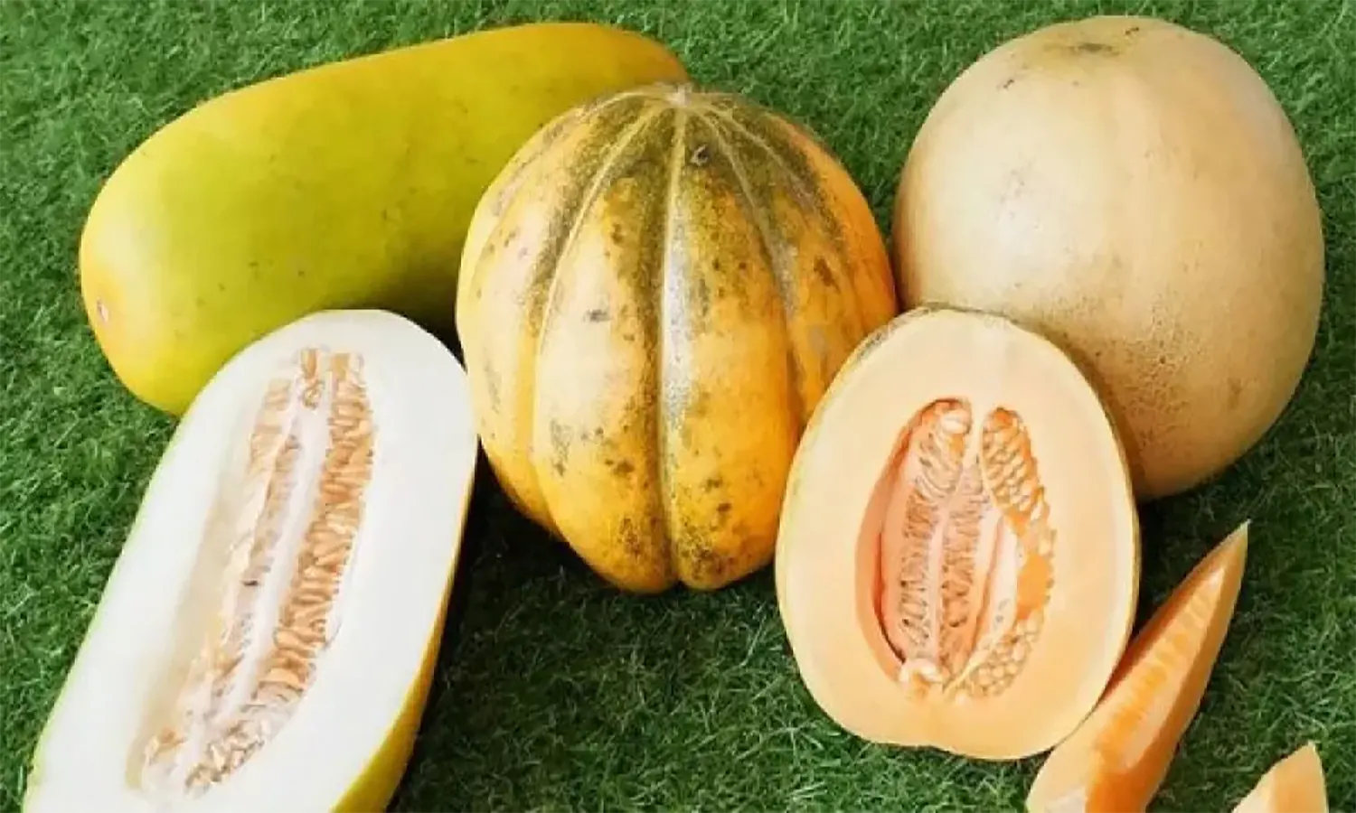 Manfaat Buah Blewah: Segar, Manis, dan Penuh Nutrisi