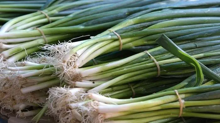 8 Manfaat Daun Bawang Bagi Tubuh