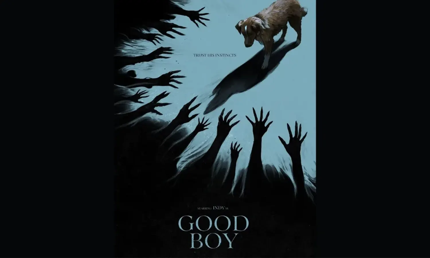 Good Boy: Film Horor dari Sudut Pandang Anjing yang Siap Bikin Penonton Merinding