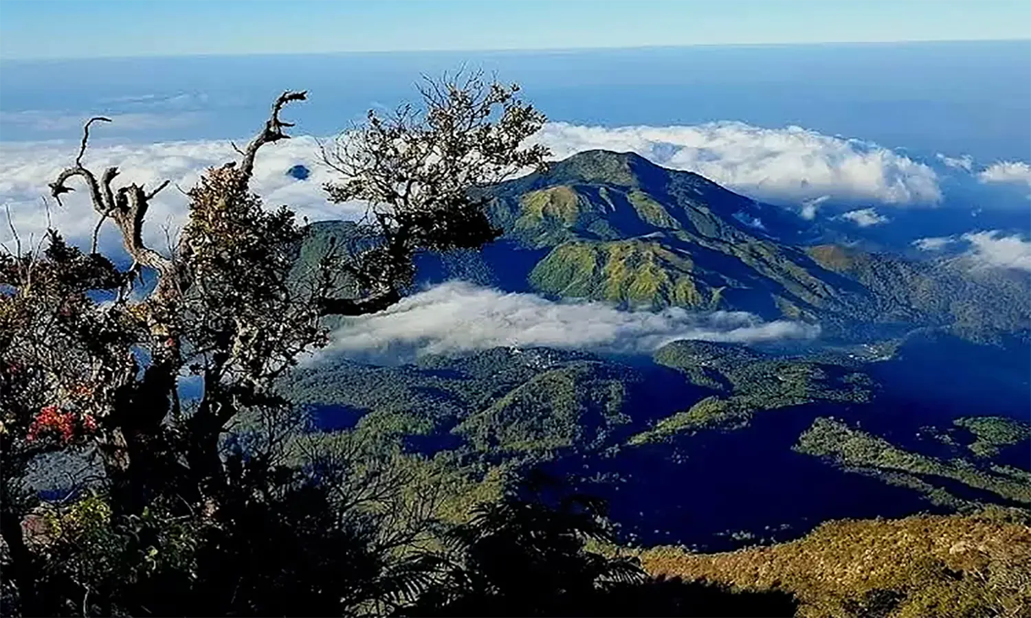 Pesona Keindahan Gunung Lawu: Surga Tersembunyi di Jantung Pulau Jawa