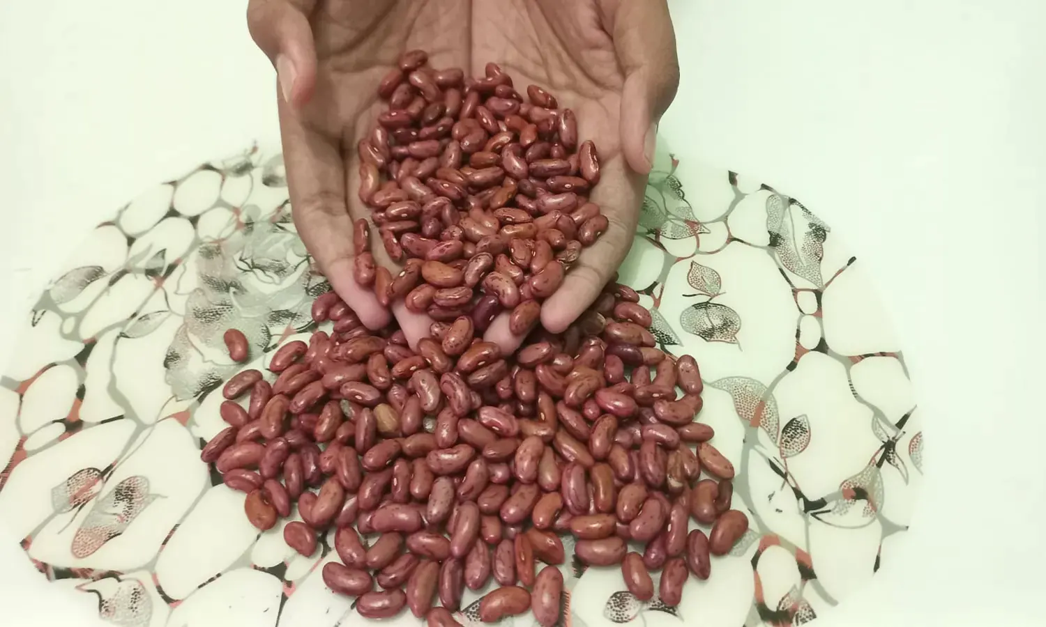 Manfaat Kacang Merah: Si Merah Kecil yang Kekayaan Nutrisi