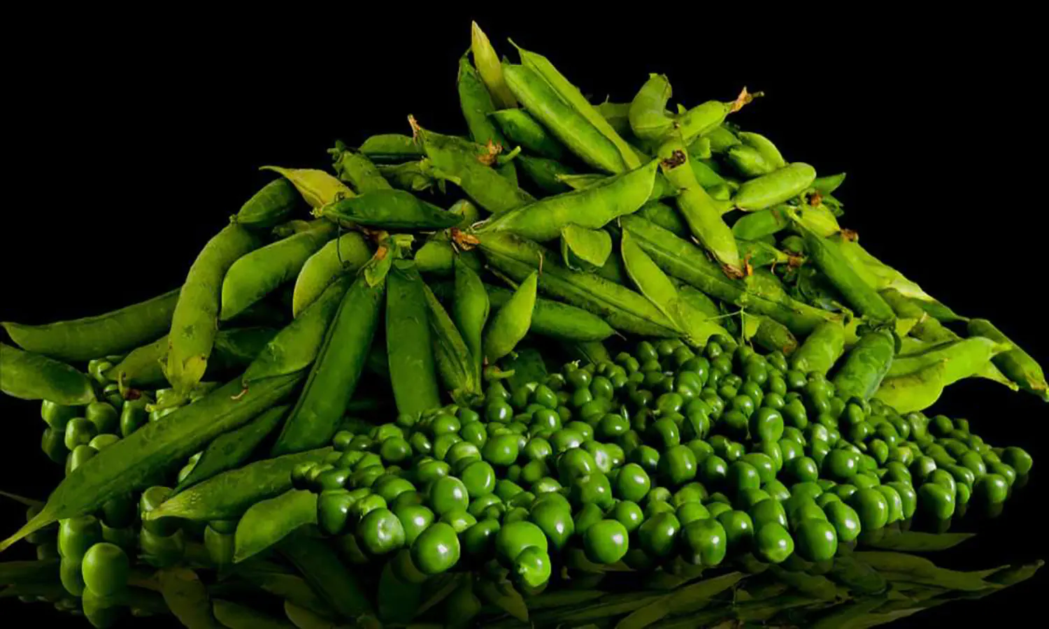 Kaya Nutrisi dan Lezat: Berikut Manfaat Kacang Polong