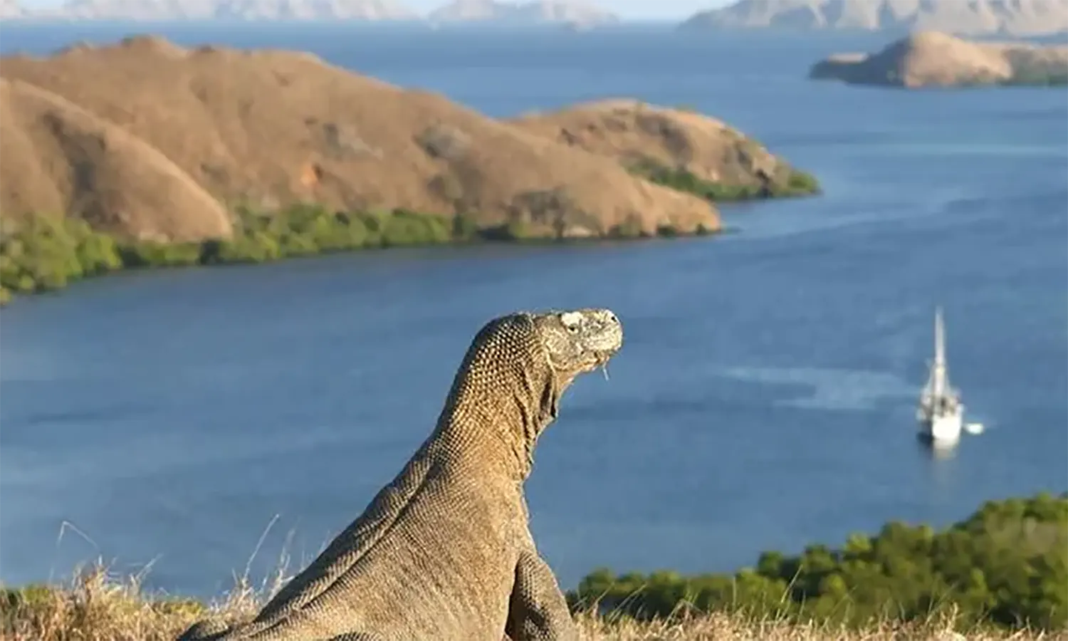 Labuan Bajo: Keindahan Surga Tersembunyi di Ujung Timur Indonesia
