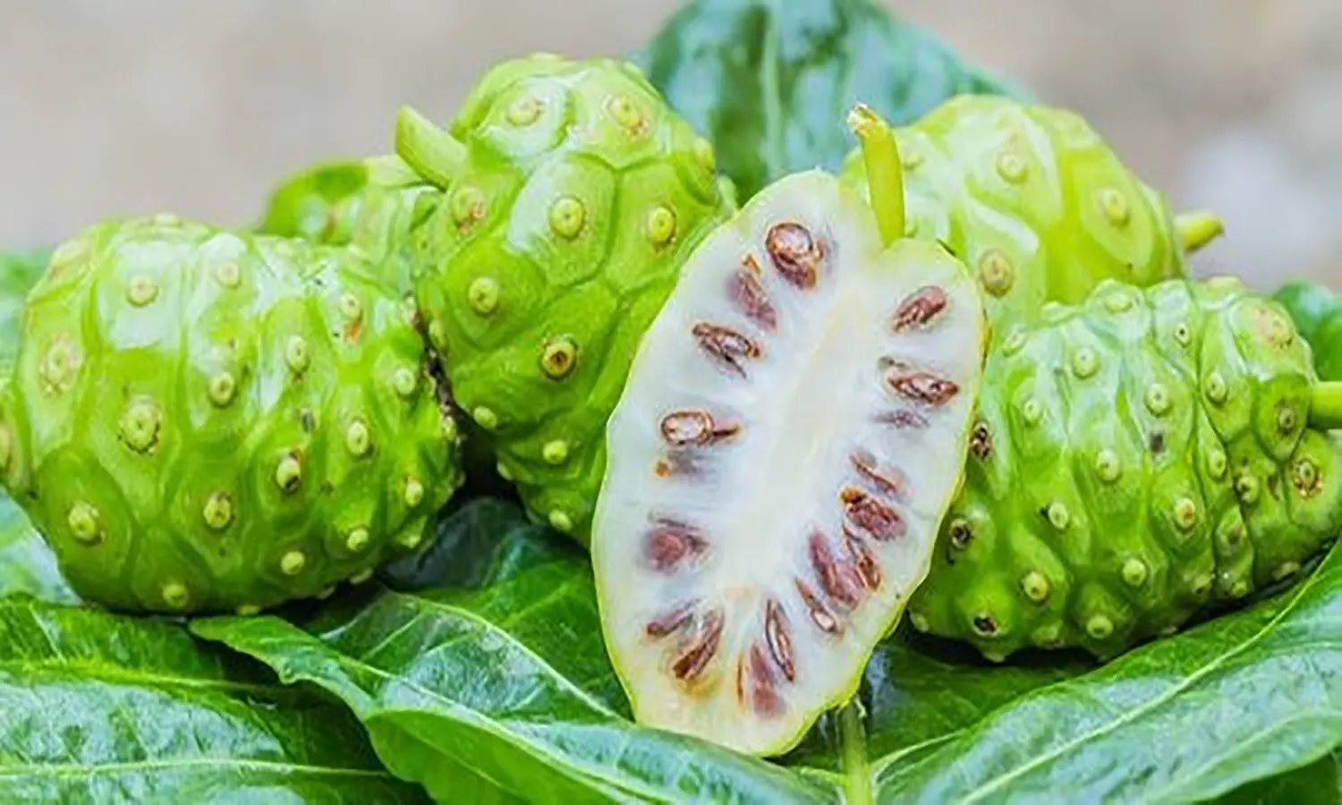7 Manfaat Buah Mengkudu untuk Kesehatan