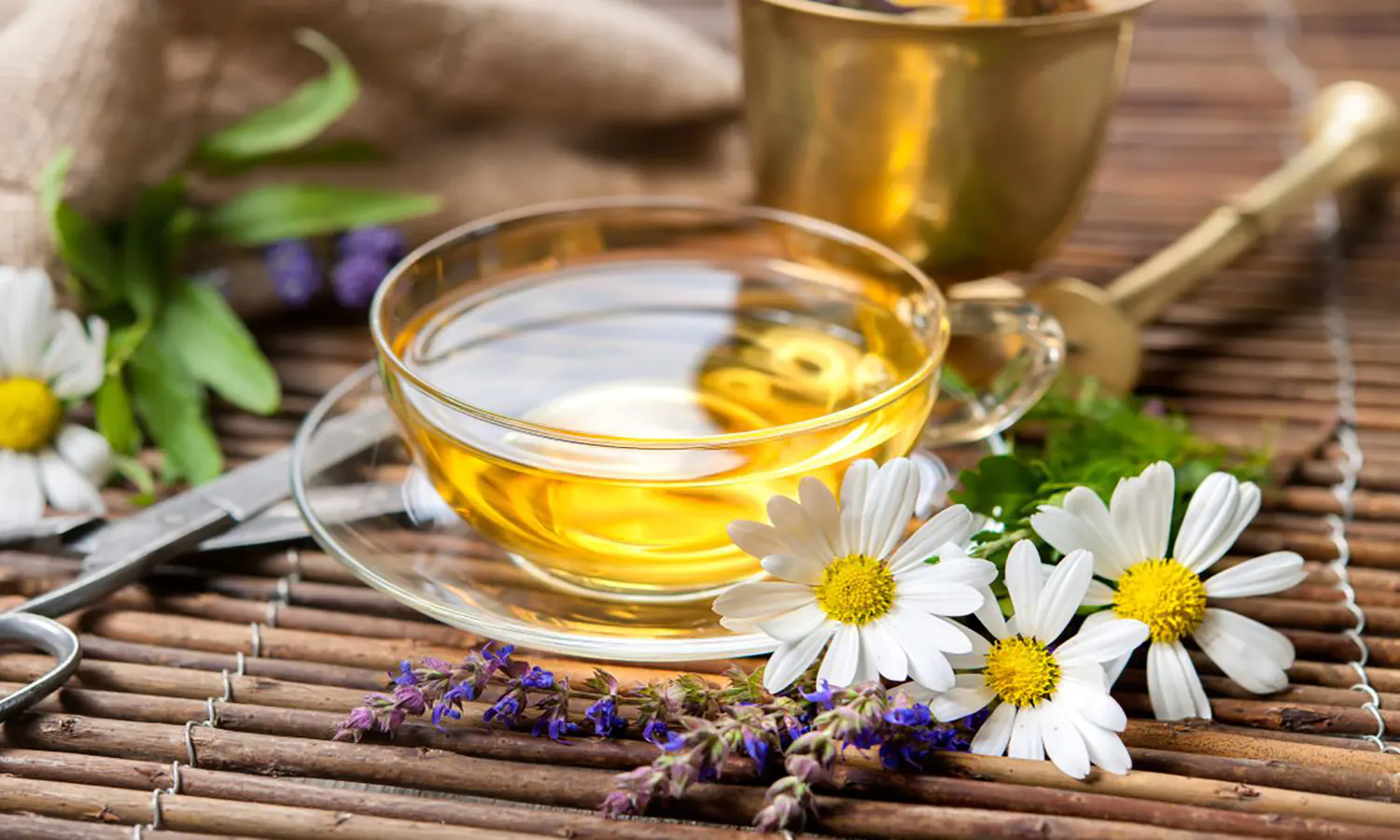 Ajaib! 6 Manfaat Teh Chamomile untuk Kesehatan Tubuh